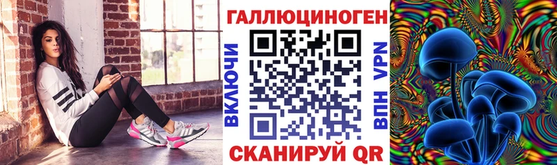Псилоцибиновые грибы GOLDEN TEACHER  Сунжа 