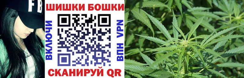 omg tor  Сунжа  Каннабис планчик  купить наркотики сайты 